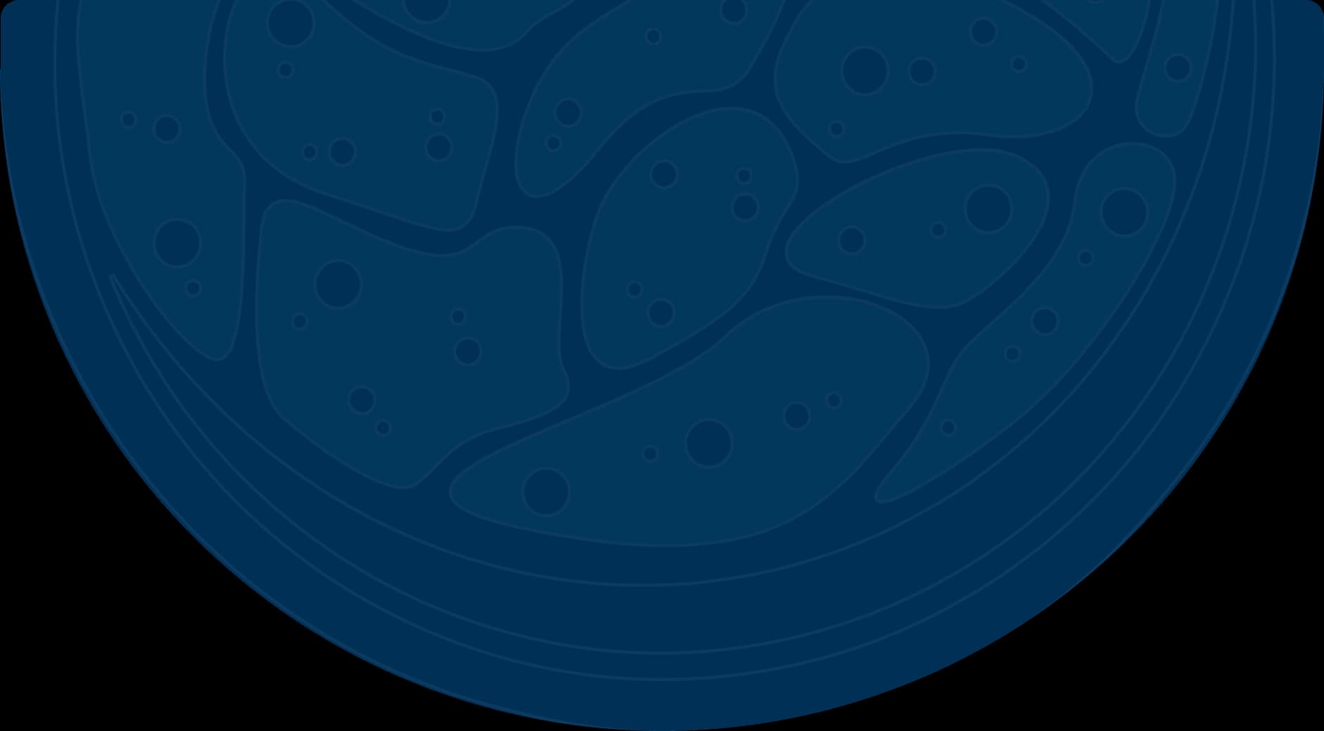 a vector of some cells